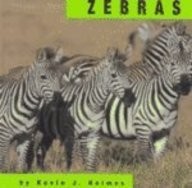 Zebras holmes - (animals),