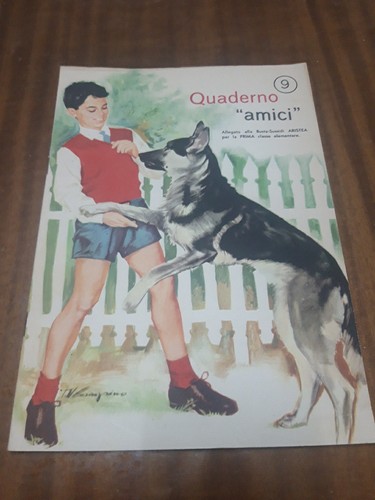 Quaderno sussidiario amici - quaderno,