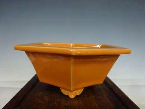 Vaso per bonsai - , giapponese