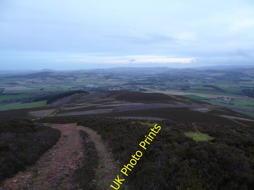 Photo 6x4 wee - 6x4, scaut