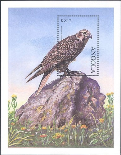 Angola 2000 prairie - angola,