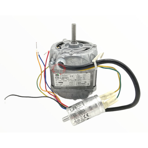 Euro motors italia motore - motors,