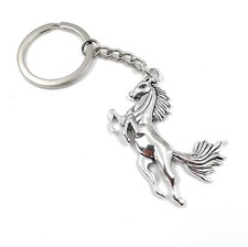 Cavallo Equitazione che Salta