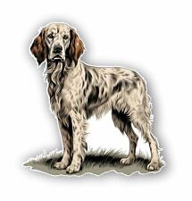 adesivo Sagomato setter inglese vintage sticker aufkleber pegatina
