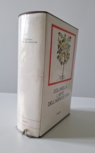 Columella arte - columella, l'arte