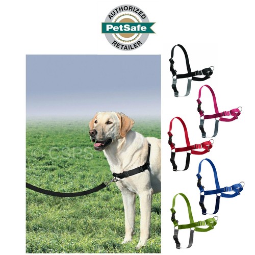 Petsafe easy walk imbracatura - easy,