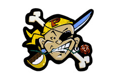 adesivi bici - 1  adesivi