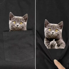 Swearing cat kitten funny - cat,