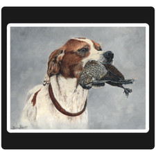  adesivo cane caccia setter