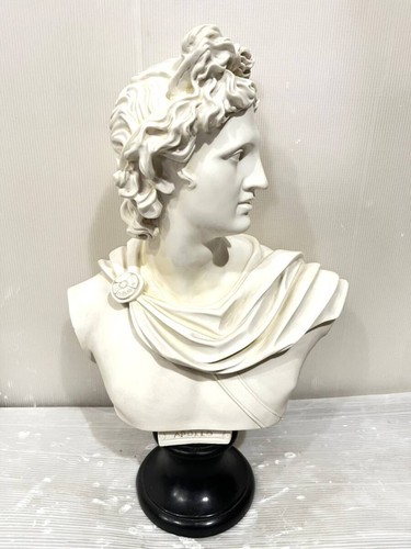 Antico busto apollo disegno - antico,