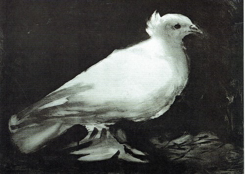 Pablo picasso colomba - picasso, 1949