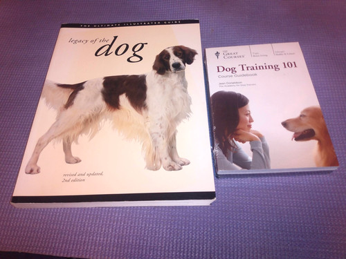 Great courses dvds - great,