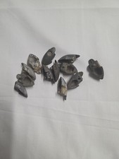 Kit Vespa Gl Gs160 Vbb Puntalini Strisce Pedana Originali Usati Epoca