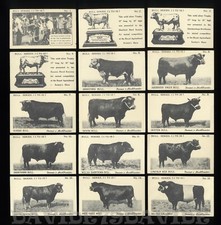 LIEBIG OXO -  BULL SERIES - SERIE TORI - COMPLETA DI 15 FIGURINE - Ed. INGLESE 