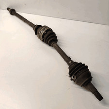 46469805 Semialbero ant