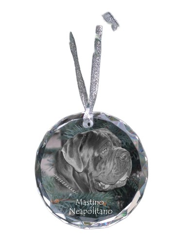 Mastino napoletano - mastino,
