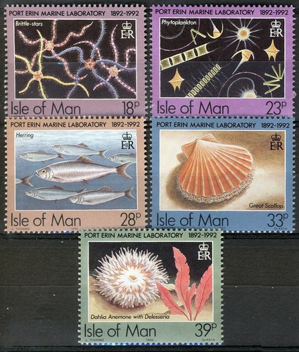 Isola man 1992 - di, 1992,