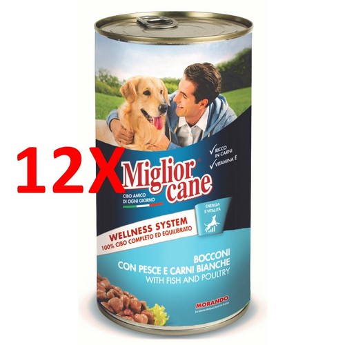 Miglior cane bocconi - x, con