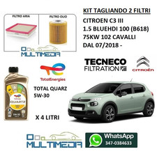 KIT TAGLIANDO 2 FILTRI TECNECO