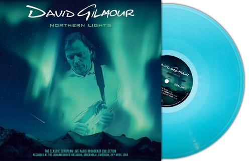 Vinile david gilmour - david,