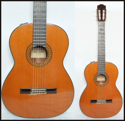 Takaminept 307 chitarra - takaminept-307,