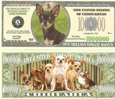 Chihuahua Dog One Million