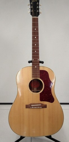 Chitarra elettrica acustica