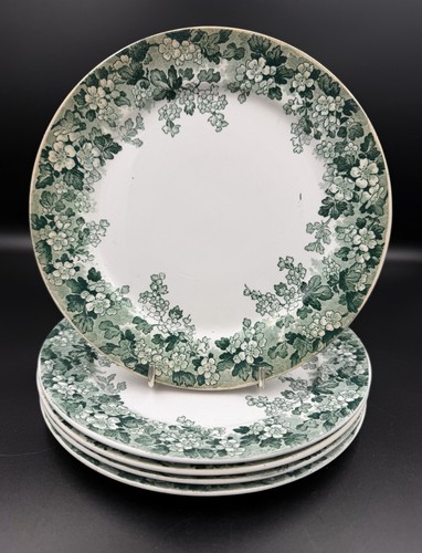 Assiettes dessert u c - 5,