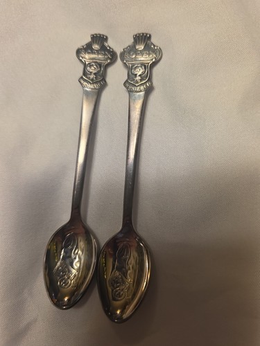 Coppia cucchiai souvenir
