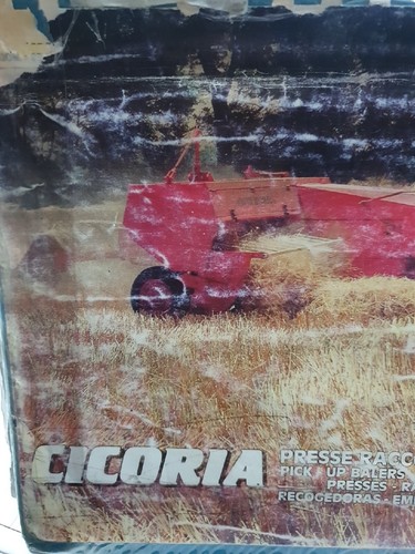Cicoria copia catalogo - copia, parti