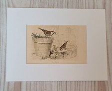 1852 litografia stampa