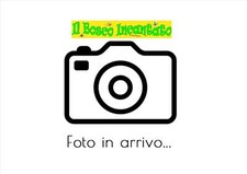 Batteria ricambio con jack Peg