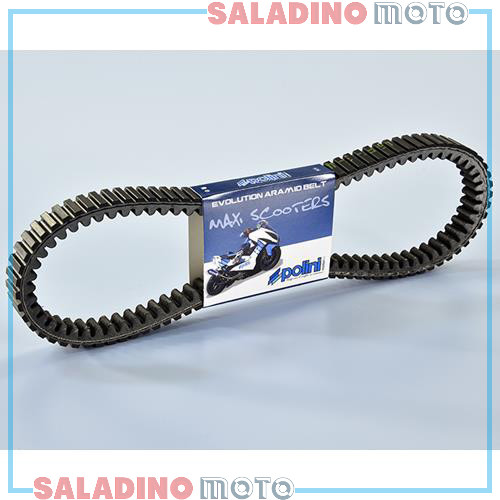 Cinghia variatore polini - variatore,