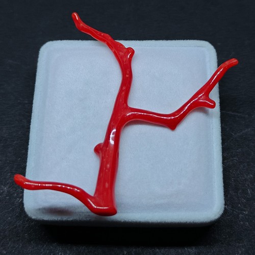 Ramo autentico corallo rosso