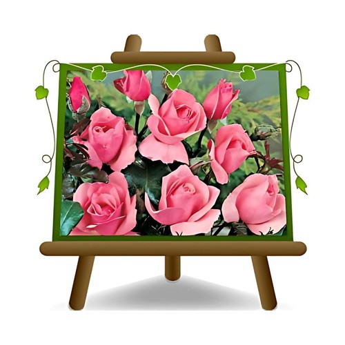 Rosa rampicante fiore - rosa,