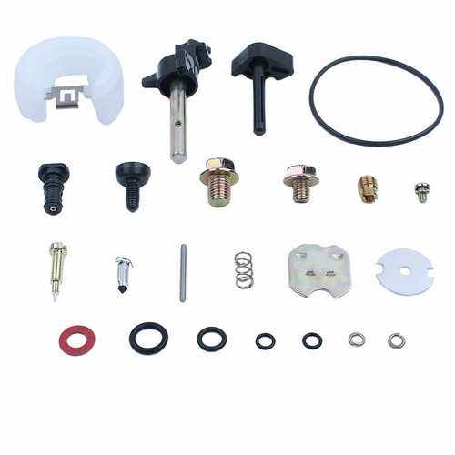 Kit riparazione carburatore - kit,