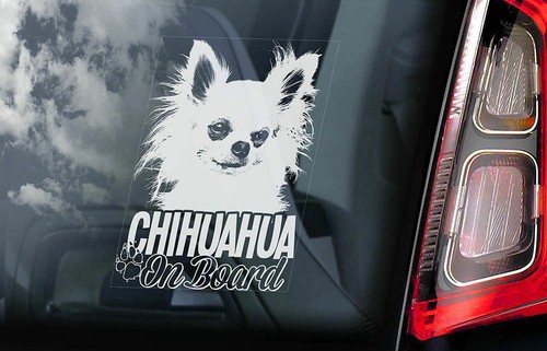 Adesivo auto chihuahua cane - -,