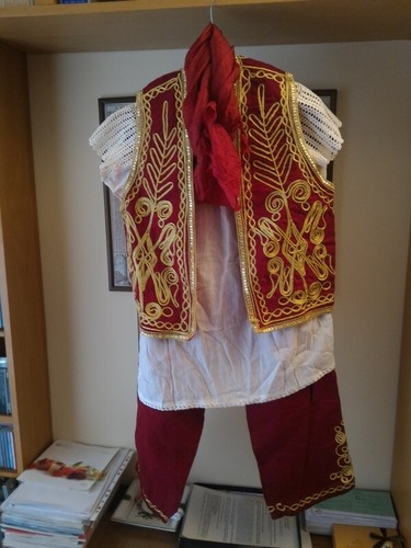 Vestito carnevale danzatrice - carnevale,