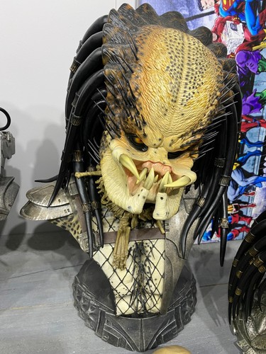 Busto sideshow unmasked - busto,