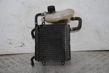 65089 Radiatore + Vaschetta