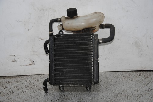 65089 radiatore vaschetta - +,