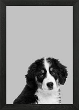 Poster arte da parete con