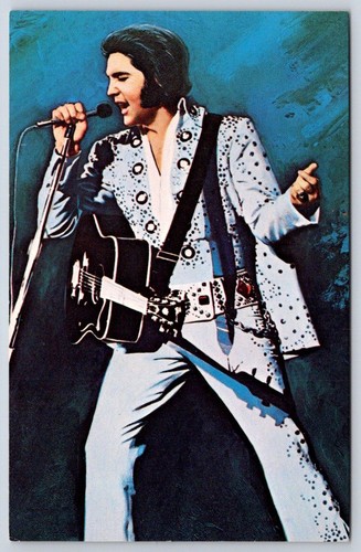 Microfono chitarra tuta elvis - tuta,