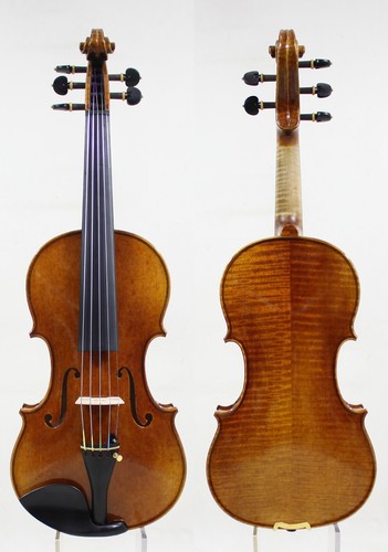 Violino corde - 5, copia