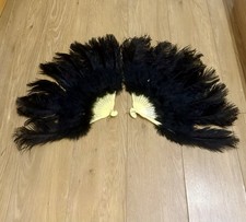 Coppia ventagli piuma di - in,