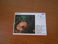 FIGURINA COLLEZIONE SCHEDE