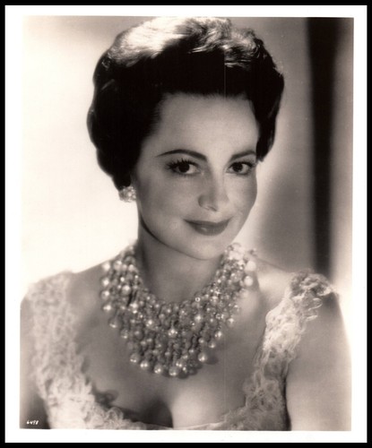 Hollywood beauty olivia - hollywood,