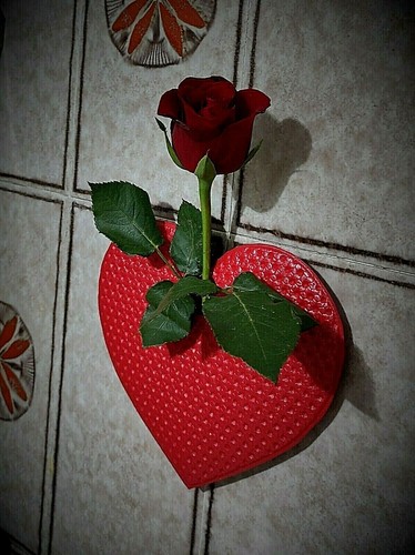 San valentino vaso - valentino, cuore