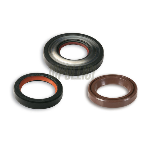 Kit paraoli malossi fkm ptfe - paraoli,