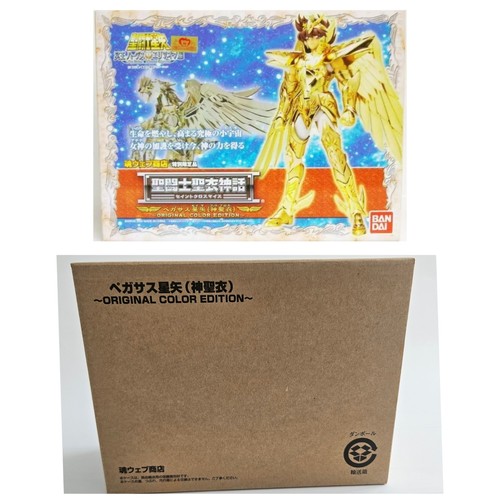 Saint seiya - seiya, cloth